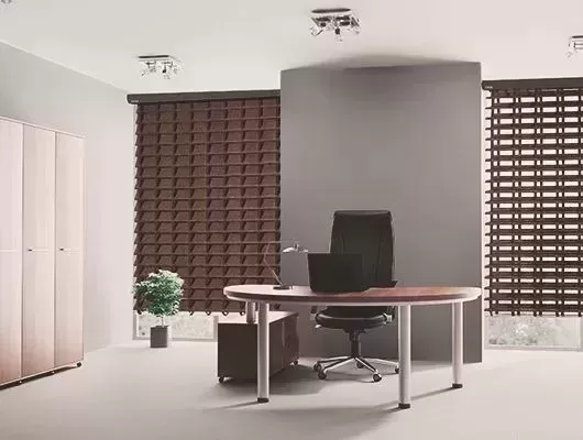 Zebra Roller Blinds Sydney